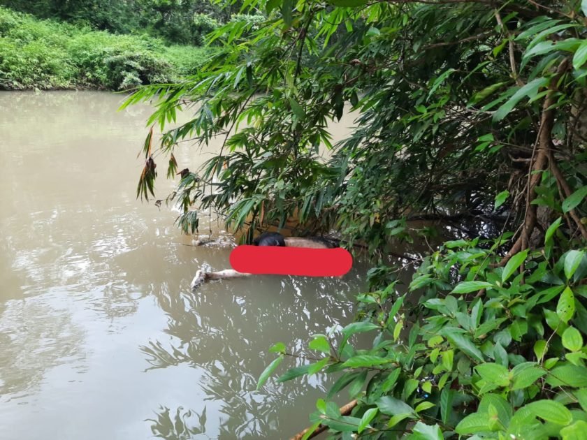 Penemuan Mayat Mengapung Ditepian Aliran Sungai Temam