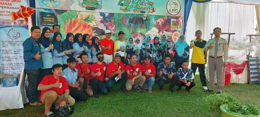 Festival Bukit Sulap 2020, Dinas Perikanan Bersama LBC Buka Kontes Ikan Cupang Hias