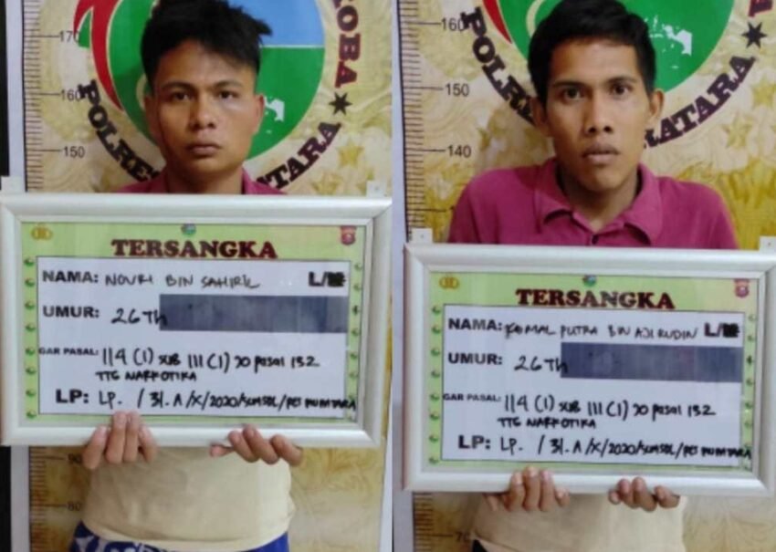 Terjebak Polisi yang Menyamar, 2 Penjual Ganja Di Muratara DiRingkus