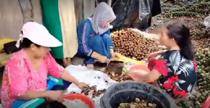 Banjir Pelanggan, Ramadan Jadi Musim Rezeki Buat Pengrajin Kolang-Kaling