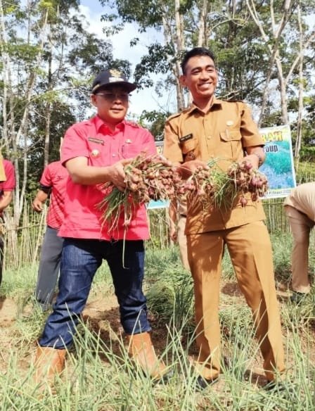 Keberhasilan Petani Bawang Merah Di Desa Sungai Kijang Mendapatkan Apresiasi Dari Bupati HDS